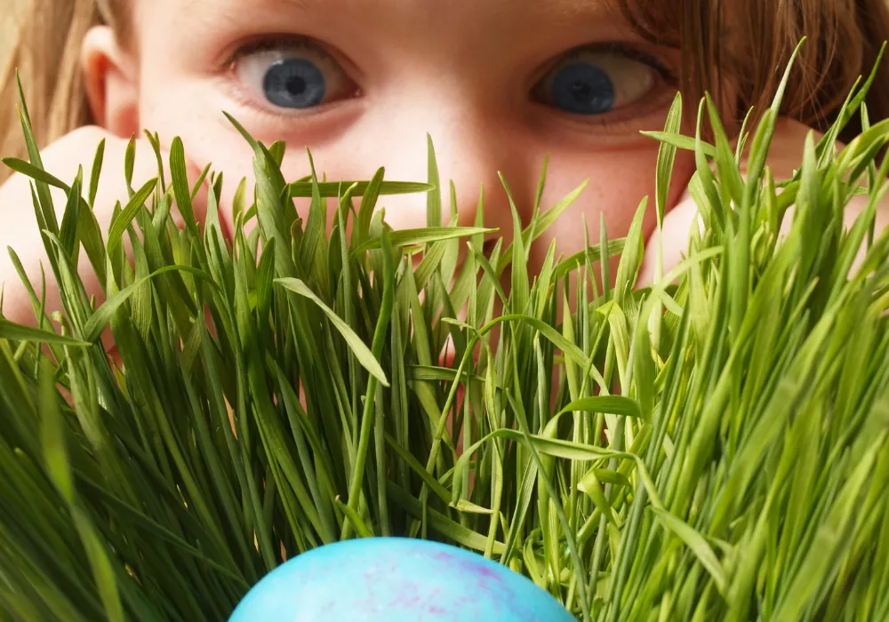 Easter event for kids glasgow Egg hunt